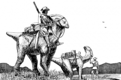 Pacyosaurus